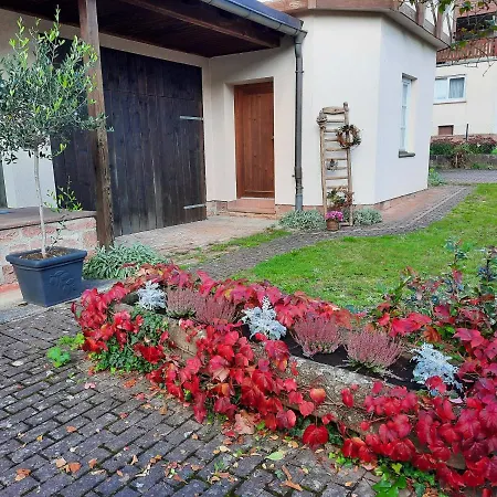 Ferienwohnung -main- Ruheplatz Am Wasser דירה *