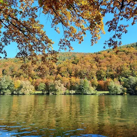 Ferienwohnung -main- Ruheplatz Am Wasser