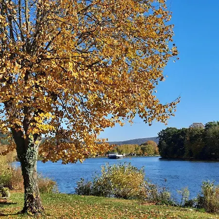 Ferienwohnung -main- Ruheplatz Am Wasser *