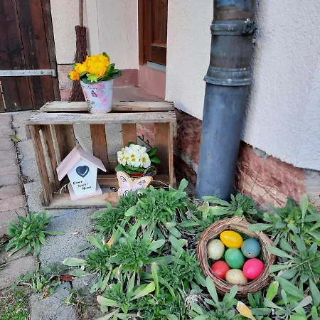 Ferienwohnung -main- Ruheplatz Am Wasser דירה *