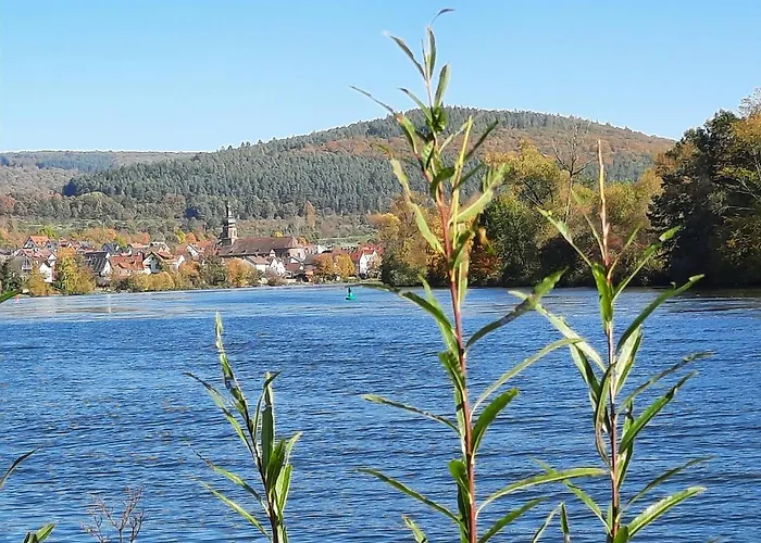 Ferienwohnung -main- Ruheplatz Am Wasser Διαμέρισμα