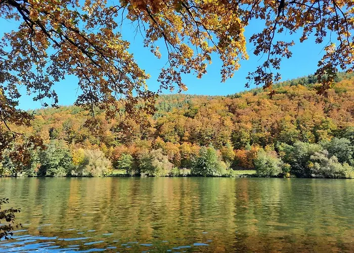 Ferienwohnung -main- Ruheplatz Am Wasser