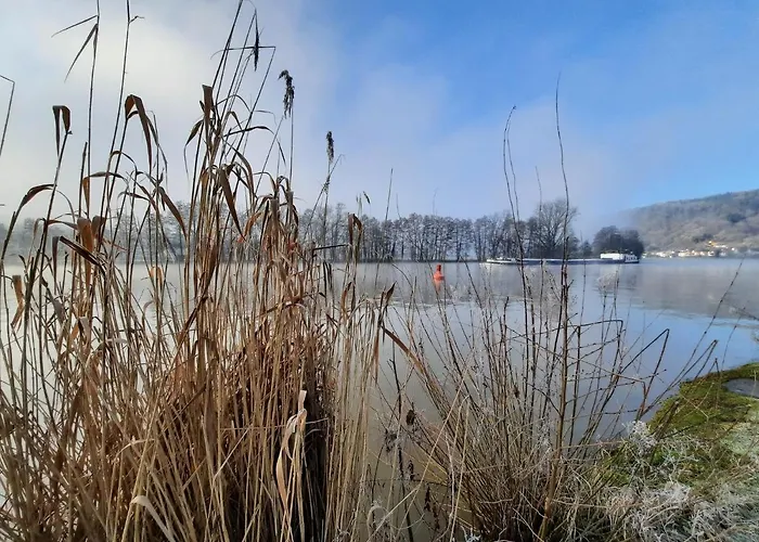 Ferienwohnung -main- Ruheplatz Am Wasser Langenprozelten