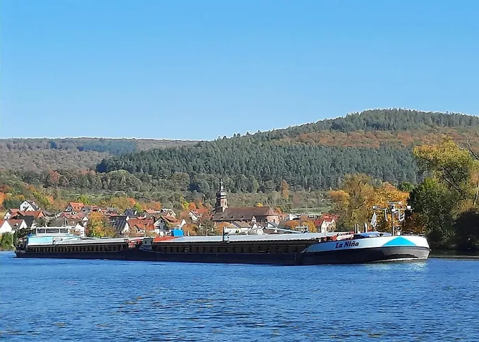 Ferienwohnung -main- Ruheplatz Am Wasser Διαμέρισμα Langenprozelten