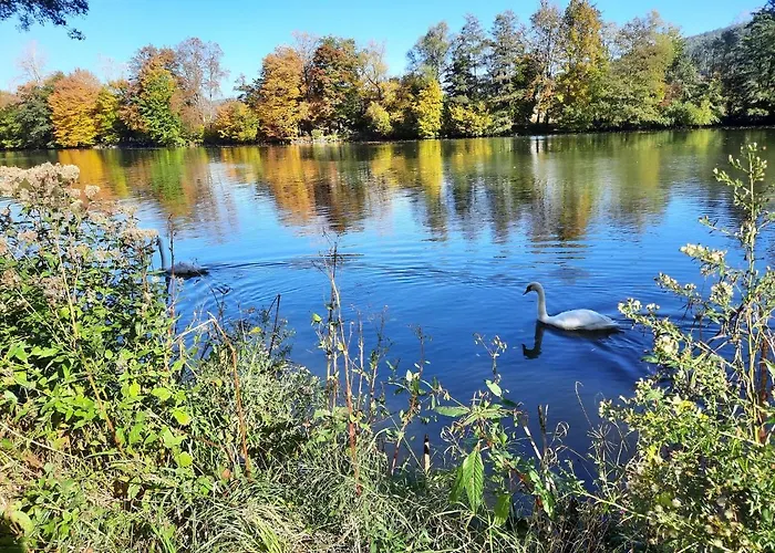 Ferienwohnung -main- Ruheplatz Am Wasser Langenprozelten