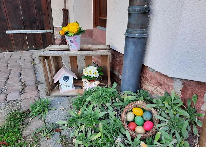 Ferienwohnung -main- Ruheplatz Am Wasser Διαμέρισμα *